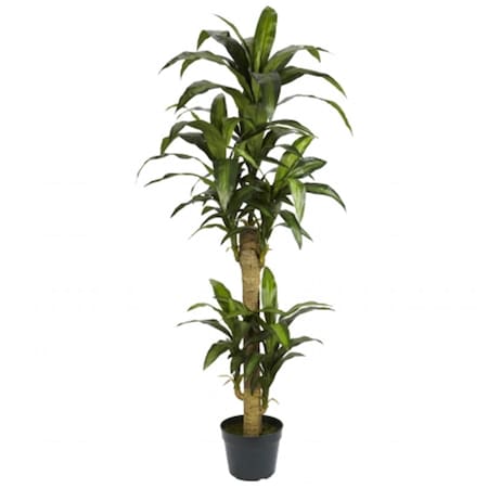 Nearly Natural 5 in. Yucca Silk Plant 6100